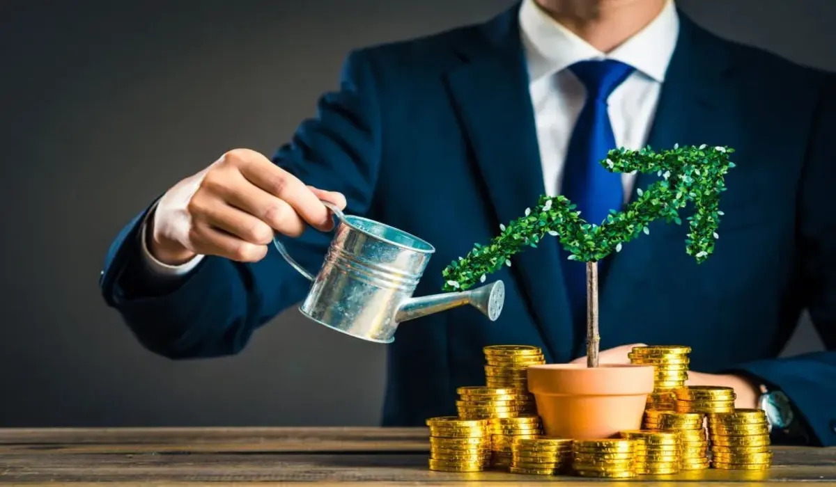 Investment Ideas: स्टॉक मार्केट के नुकसान से बेफिक्र, इन निवेशकों का मुनाफा बढ़ता रहेगा