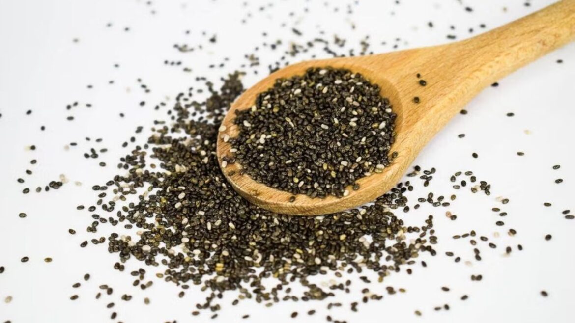 Chia Seeds : वजन घटाने से लेकर हृदय और हड्डियों तक के लिए फायदेमंद सुपरफूड Chia Seeds : वजन घटाने से लेकर हृदय और हड्डियों तक के लिए फायदेमंद सुपरफूड