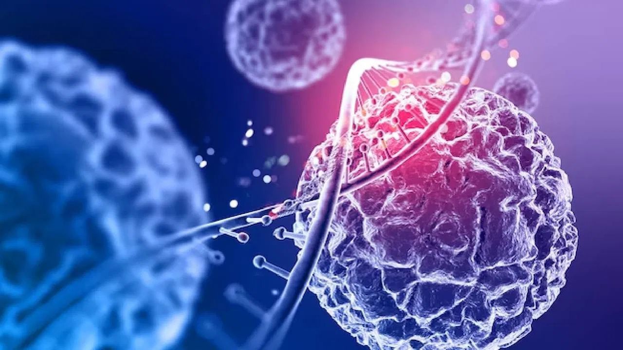 Cancer से बचने का आसान तरीका, हार्वर्ड मेडिकल स्कूल का 30 दिन का कैलेंडर