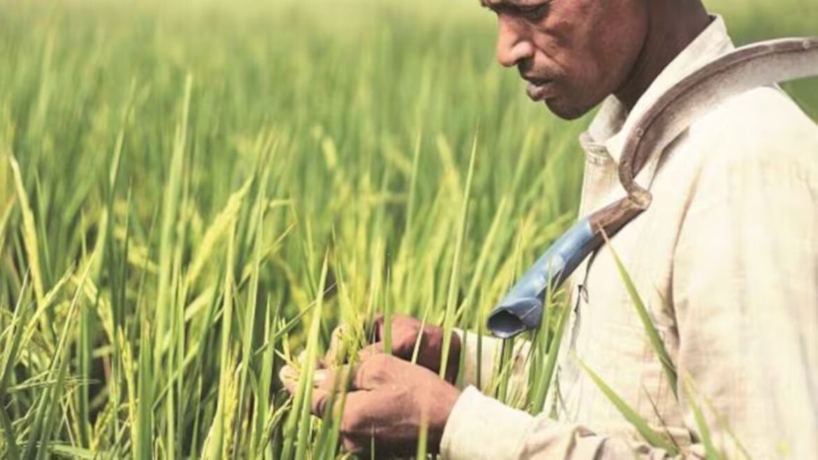 PM Kisan Yojana: किसानों के लिए खुशखबरी! 24 फरवरी को आएगी 19वीं किस्त, तुरंत करें चेक! PM Kisan Yojana: किसानों के लिए खुशखबरी! 24 फरवरी को आएगी 19वीं किस्त, तुरंत करें चेक!