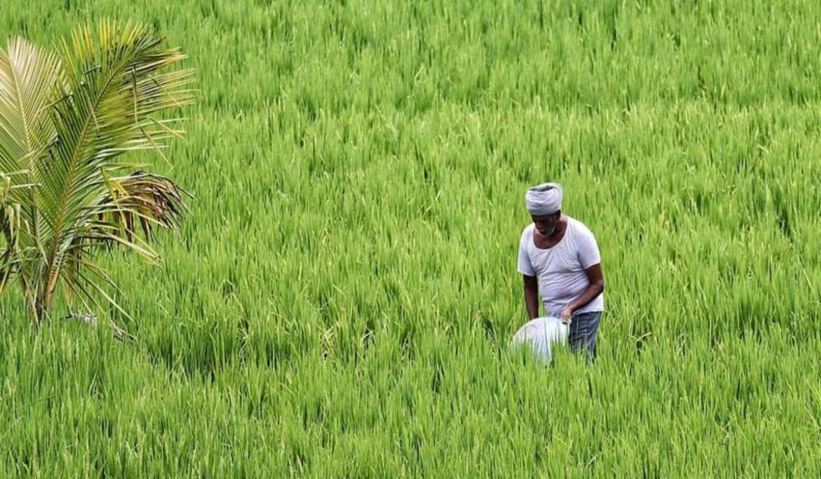 PM Fasal Bima Yojana: अब किसान भी अपनी फसलों का बीमा करा सकते हैं, जानें आवेदन कैसे करें PM Fasal Bima Yojana: अब किसान भी अपनी फसलों का बीमा करा सकते हैं, जानें आवेदन कैसे करें